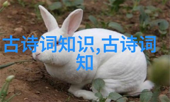 南极星和北极星的传说故事
