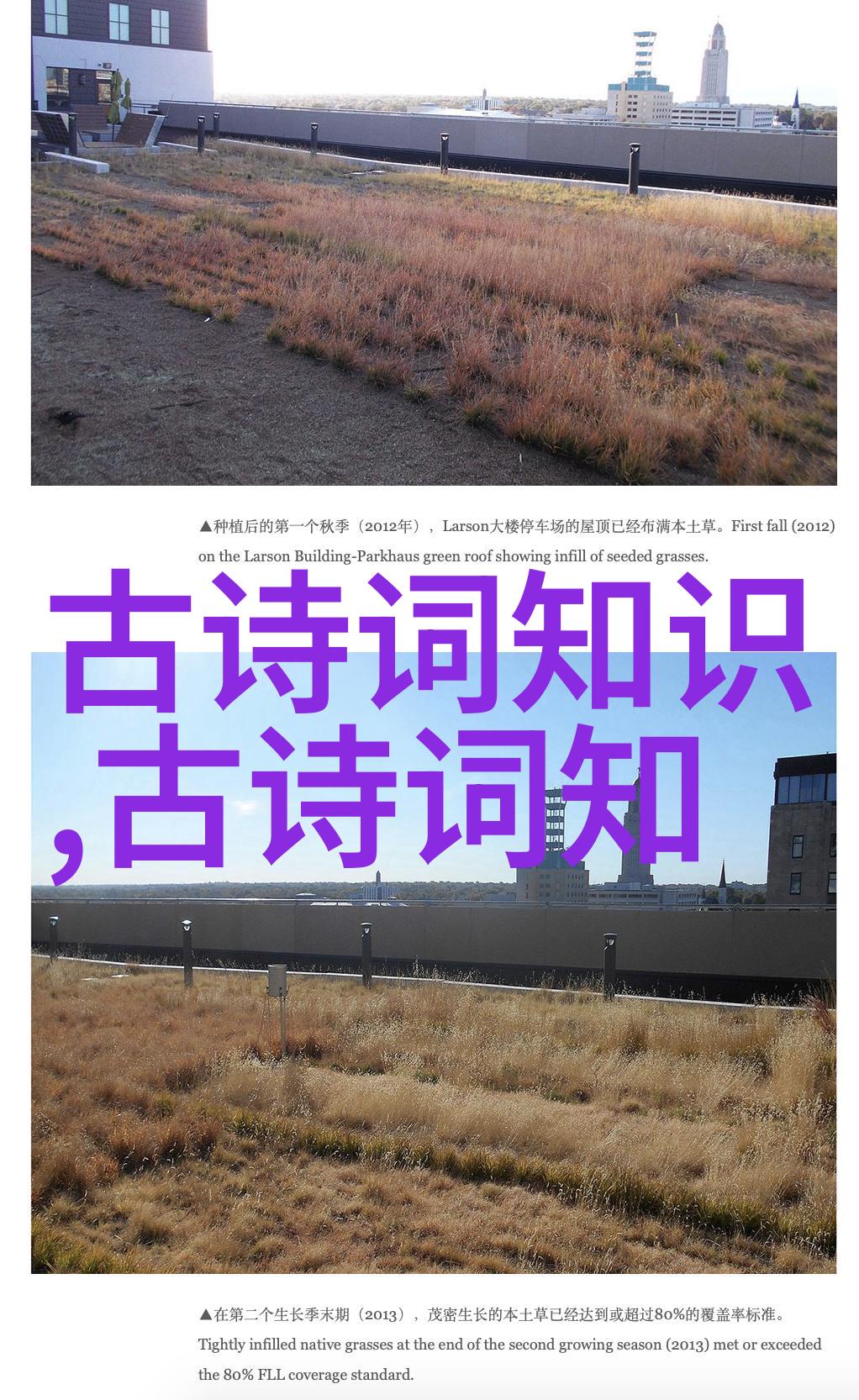 鸂鶒李群玉唐诗鉴赏