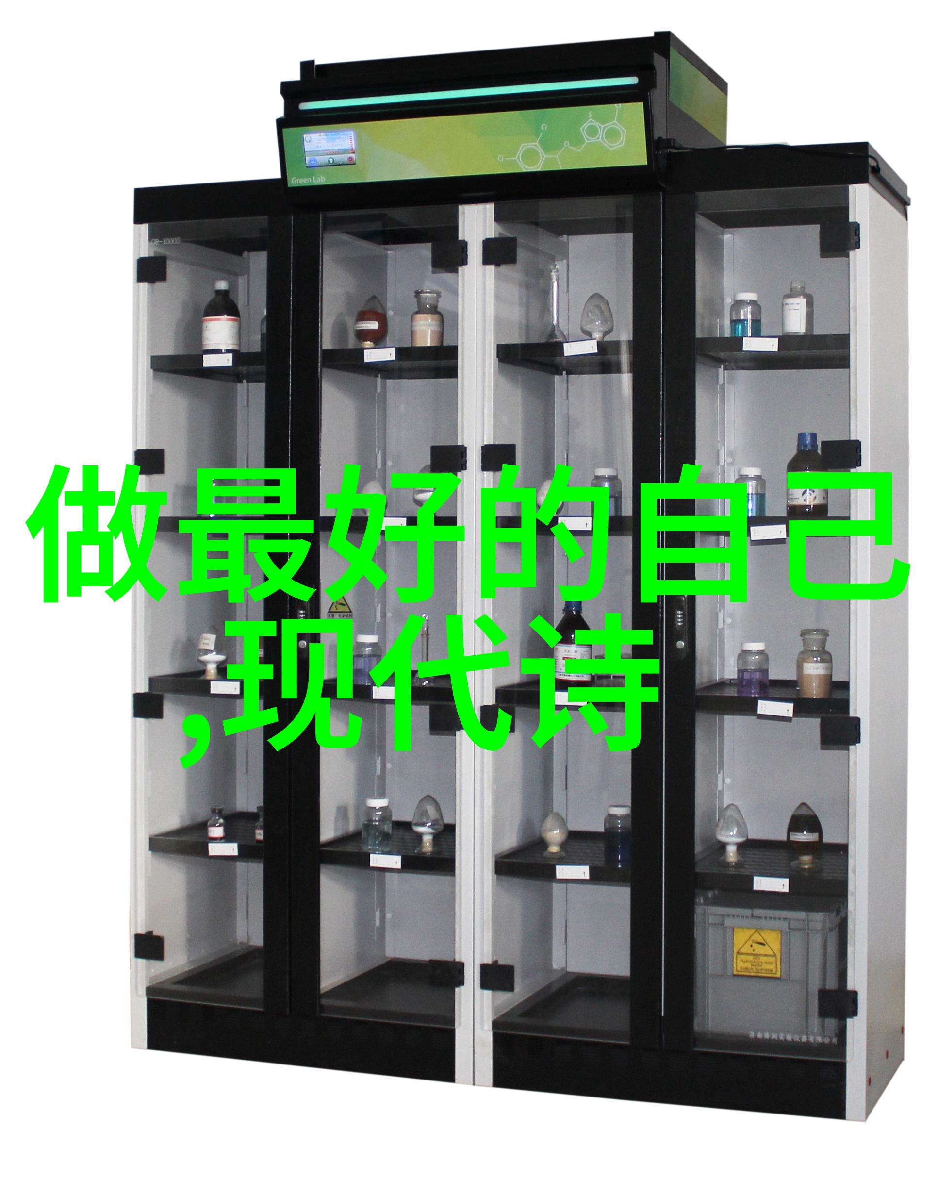 蔡琰 简介